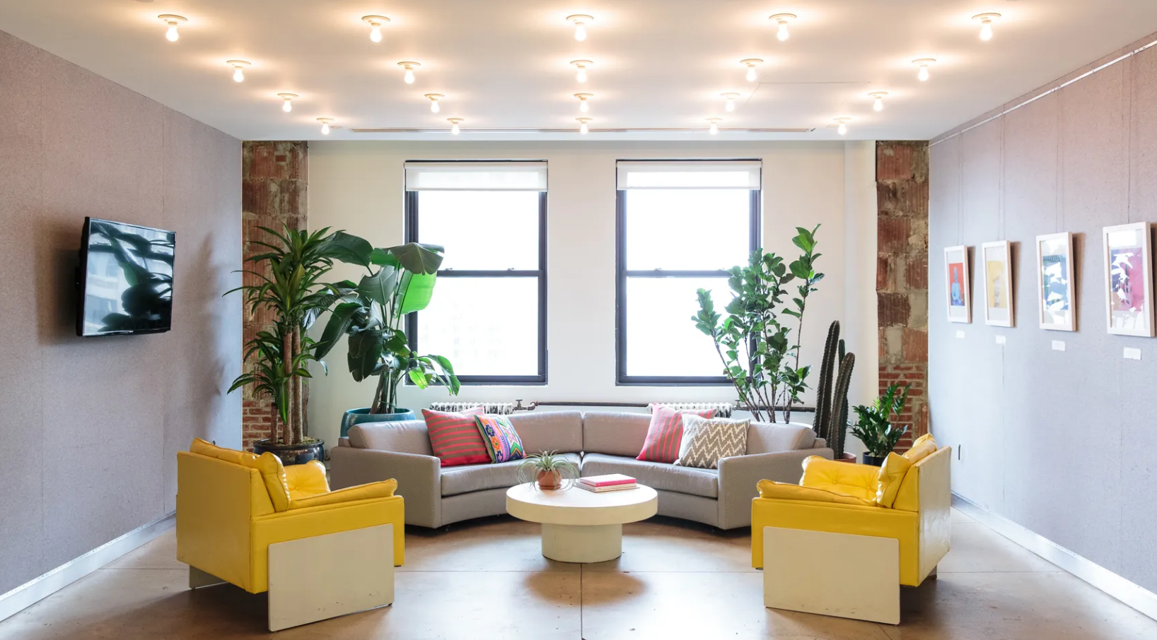 Create Happy & Healthy Environment with Office Plants 2