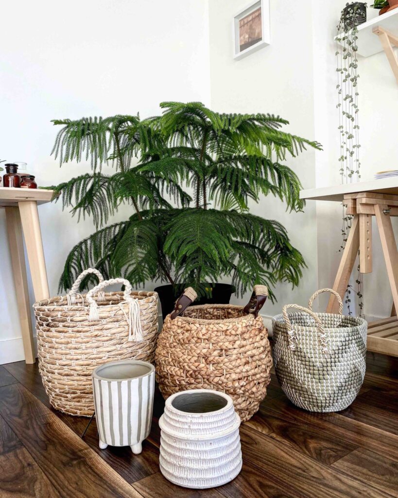 Natural interior design 8