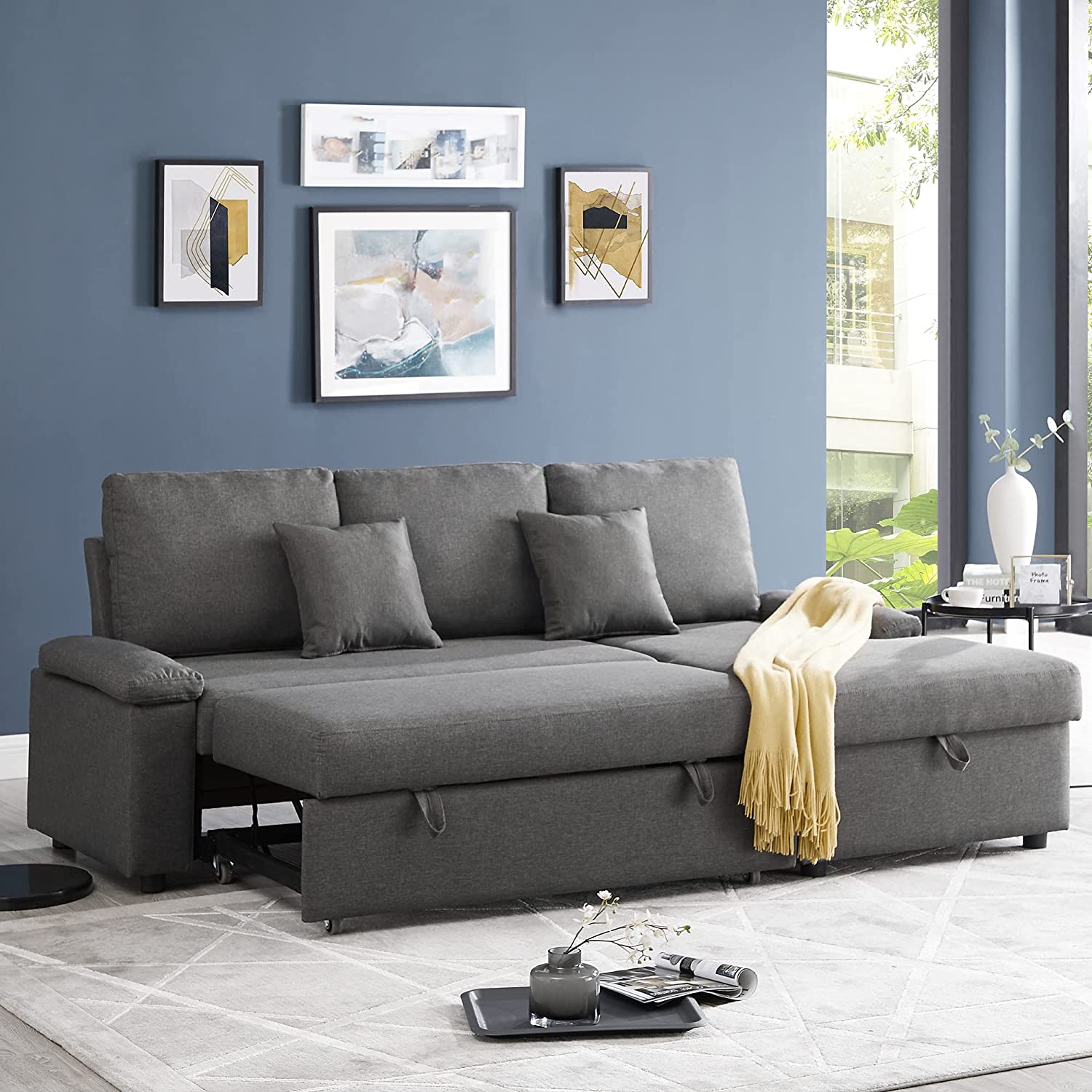 Pull out Sofa