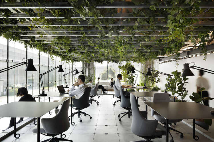 Biophilia - Office interiors